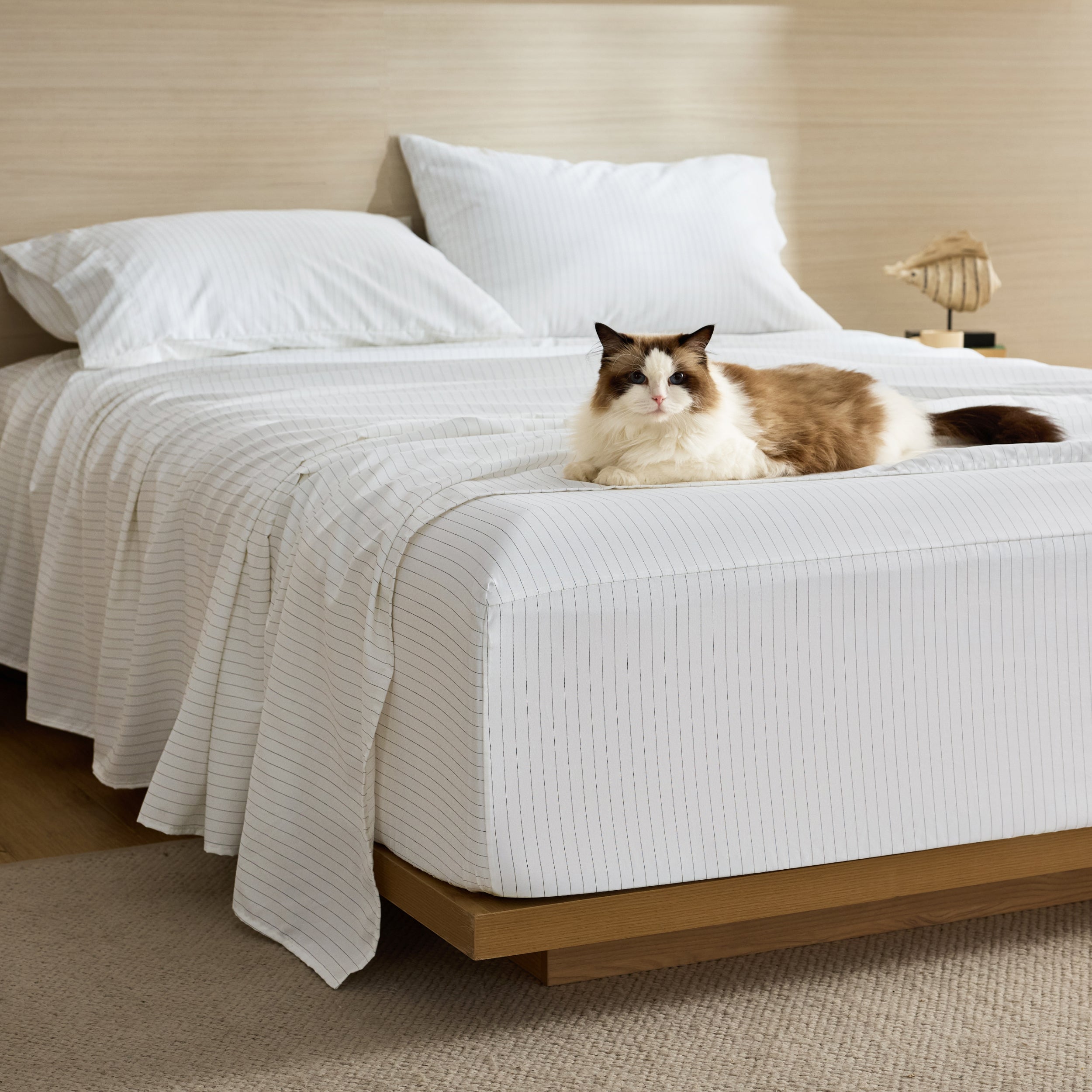 Paws Welcome Shared Comfort Sheet Set – Image 2