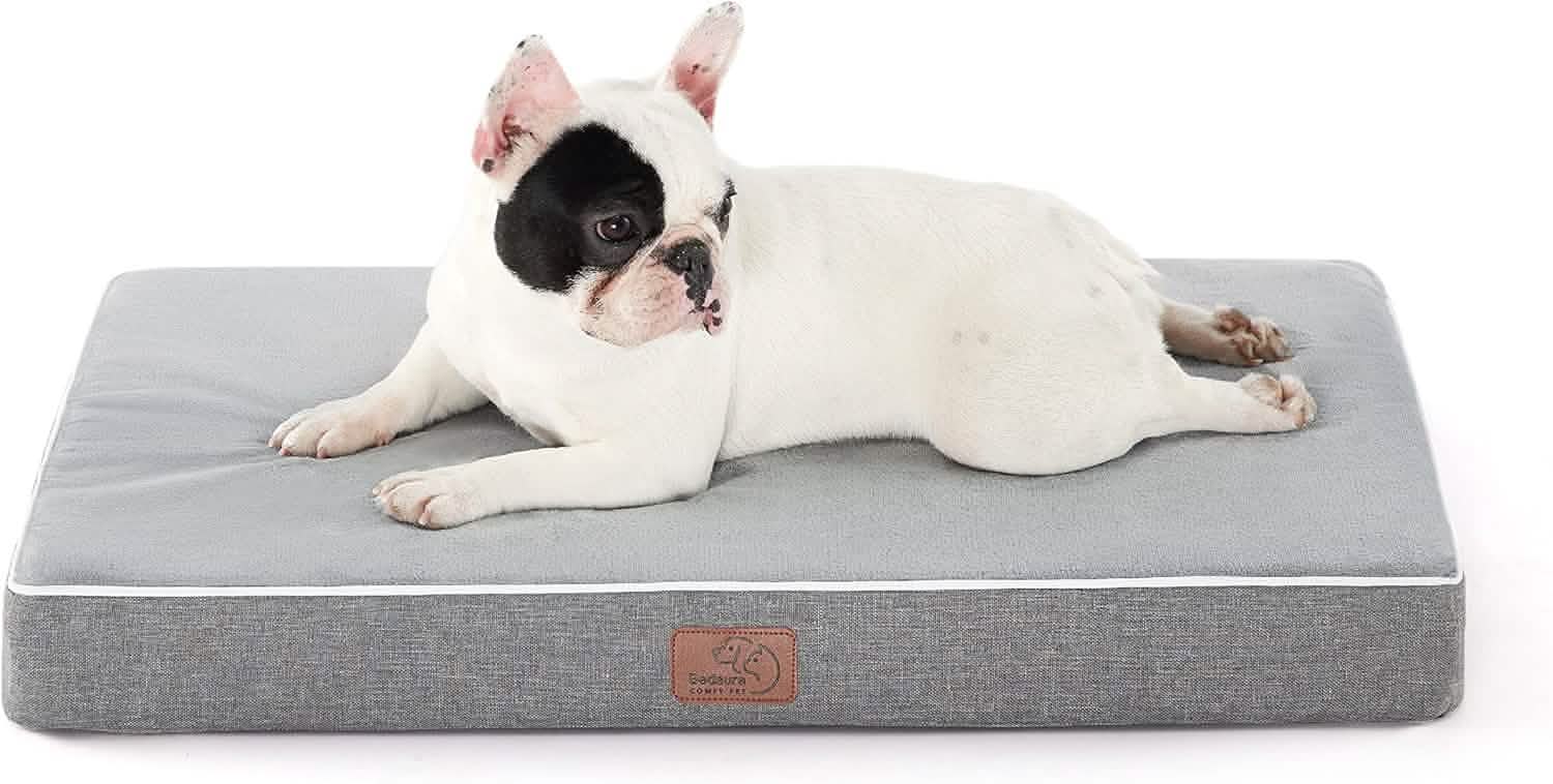 Orthopedic Memory Foam Dog Bed – Image 4
