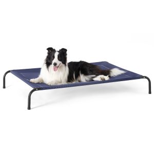 Elevated Dog Bed
