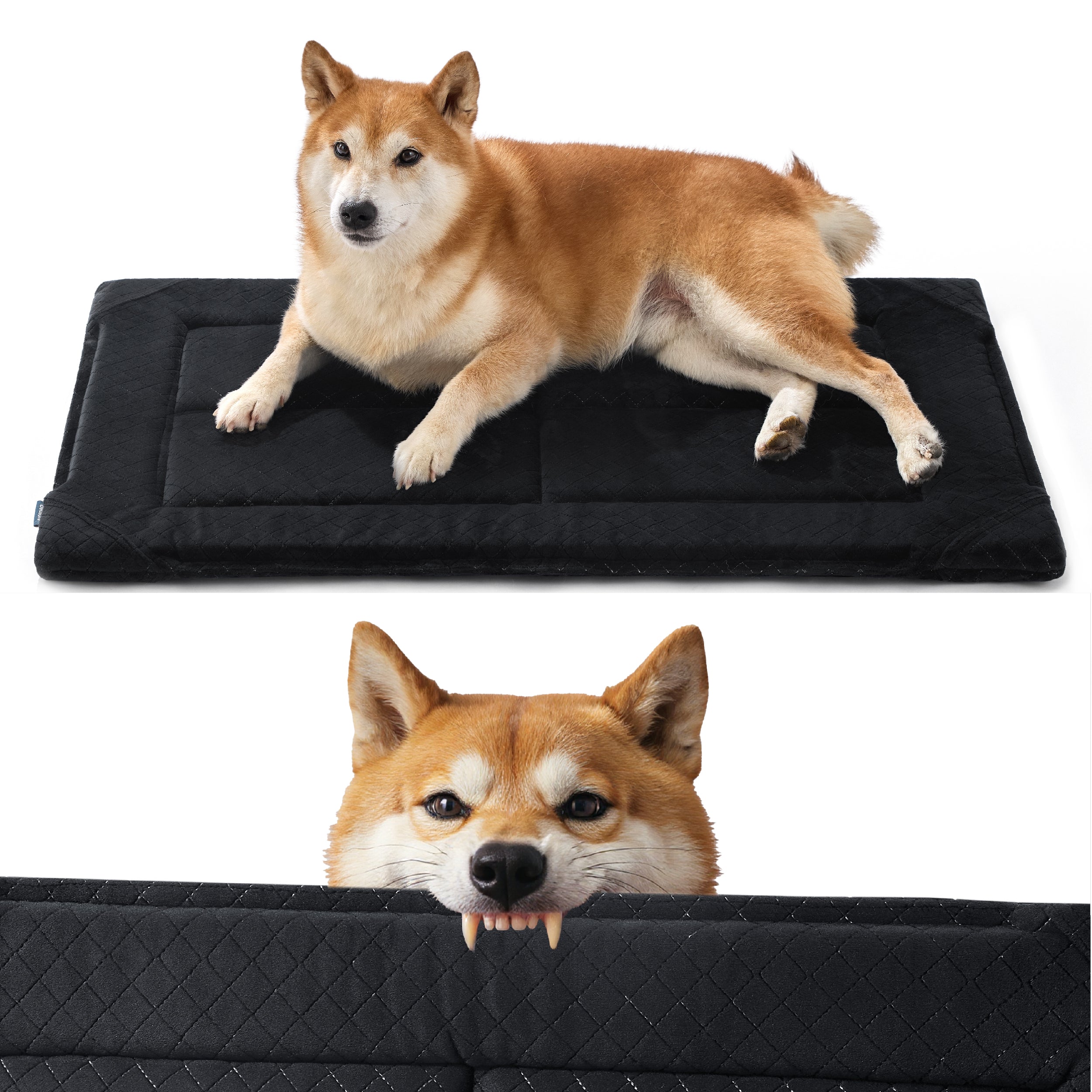 Chew-Resistant Comfy Dog Mat – Image 2