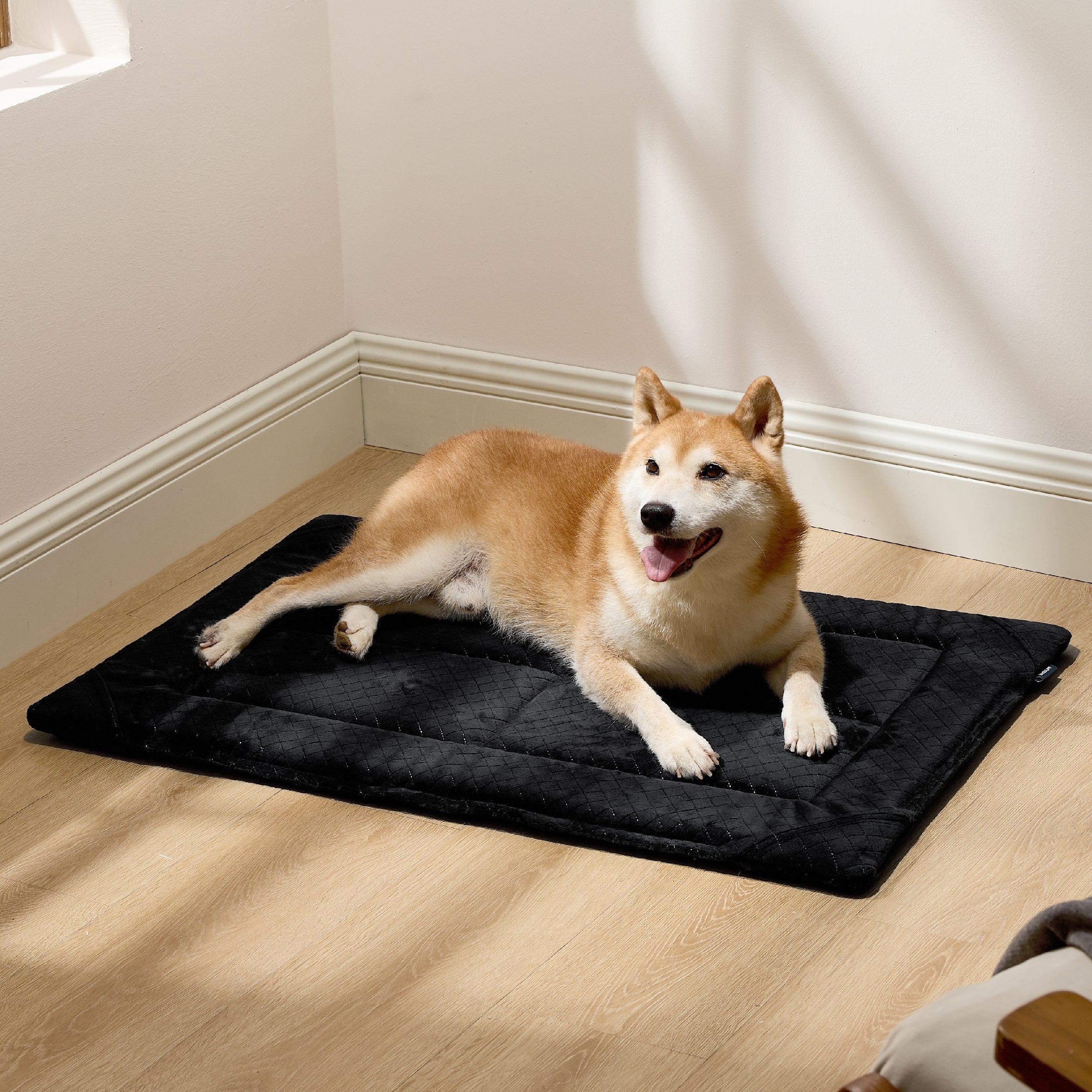 Chew-Resistant Comfy Dog Mat – Image 4