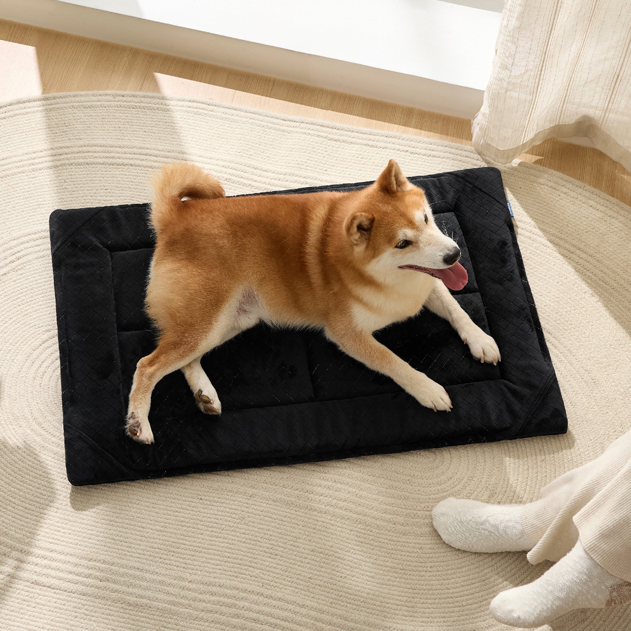 Chew-Resistant Comfy Dog Mat – Image 5