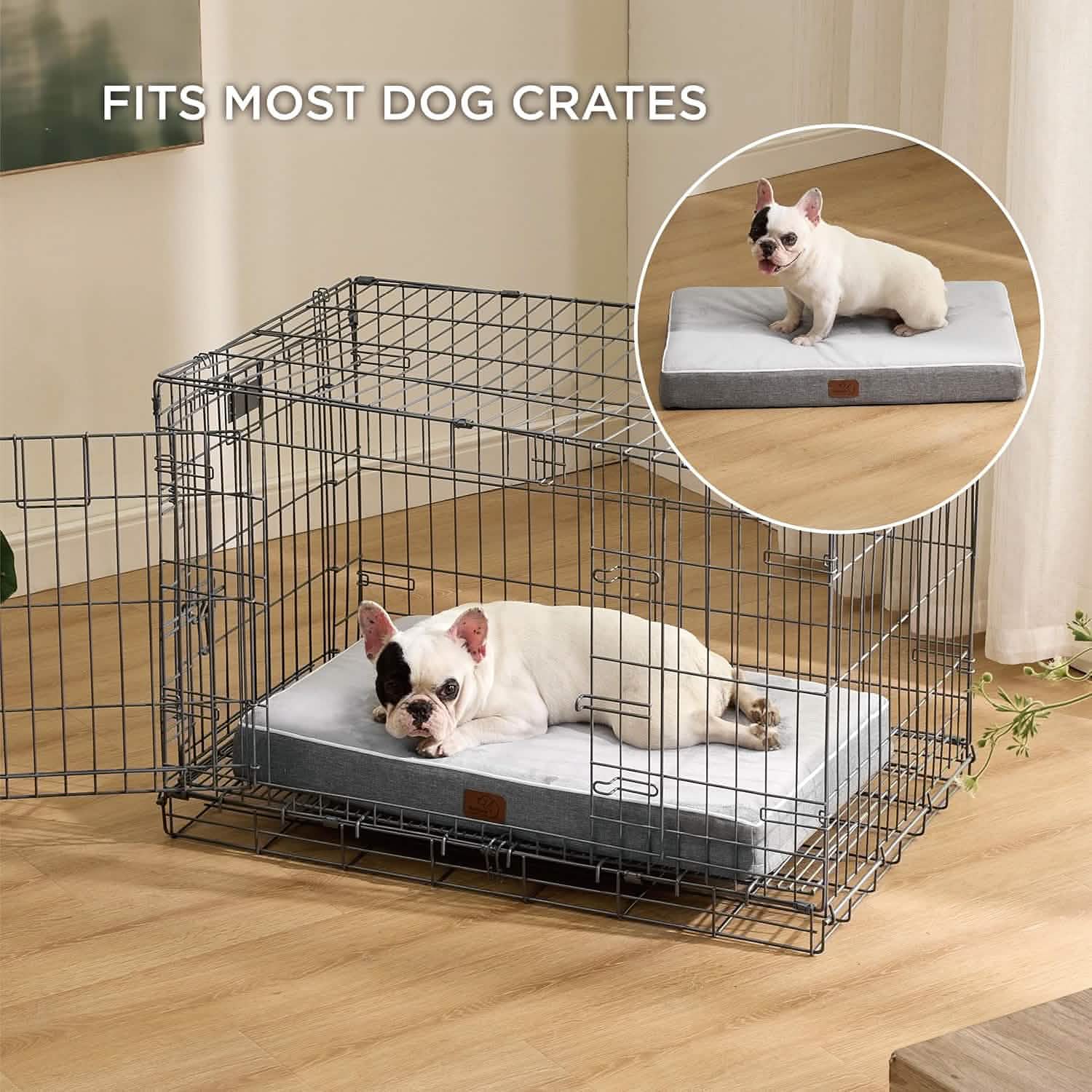 Orthopedic Memory Foam Dog Bed – Image 5
