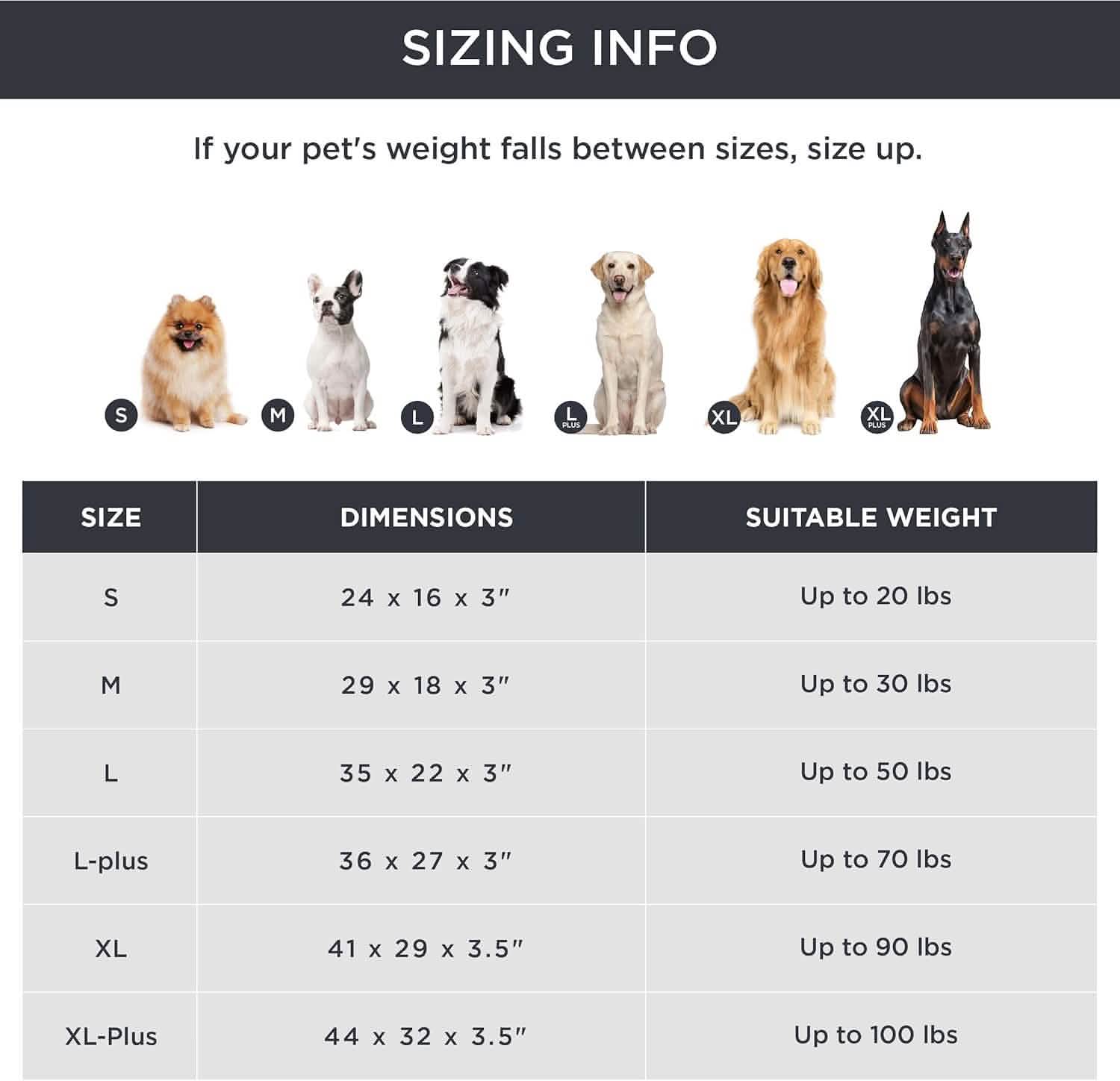 Orthopedic Memory Foam Dog Bed – Image 3