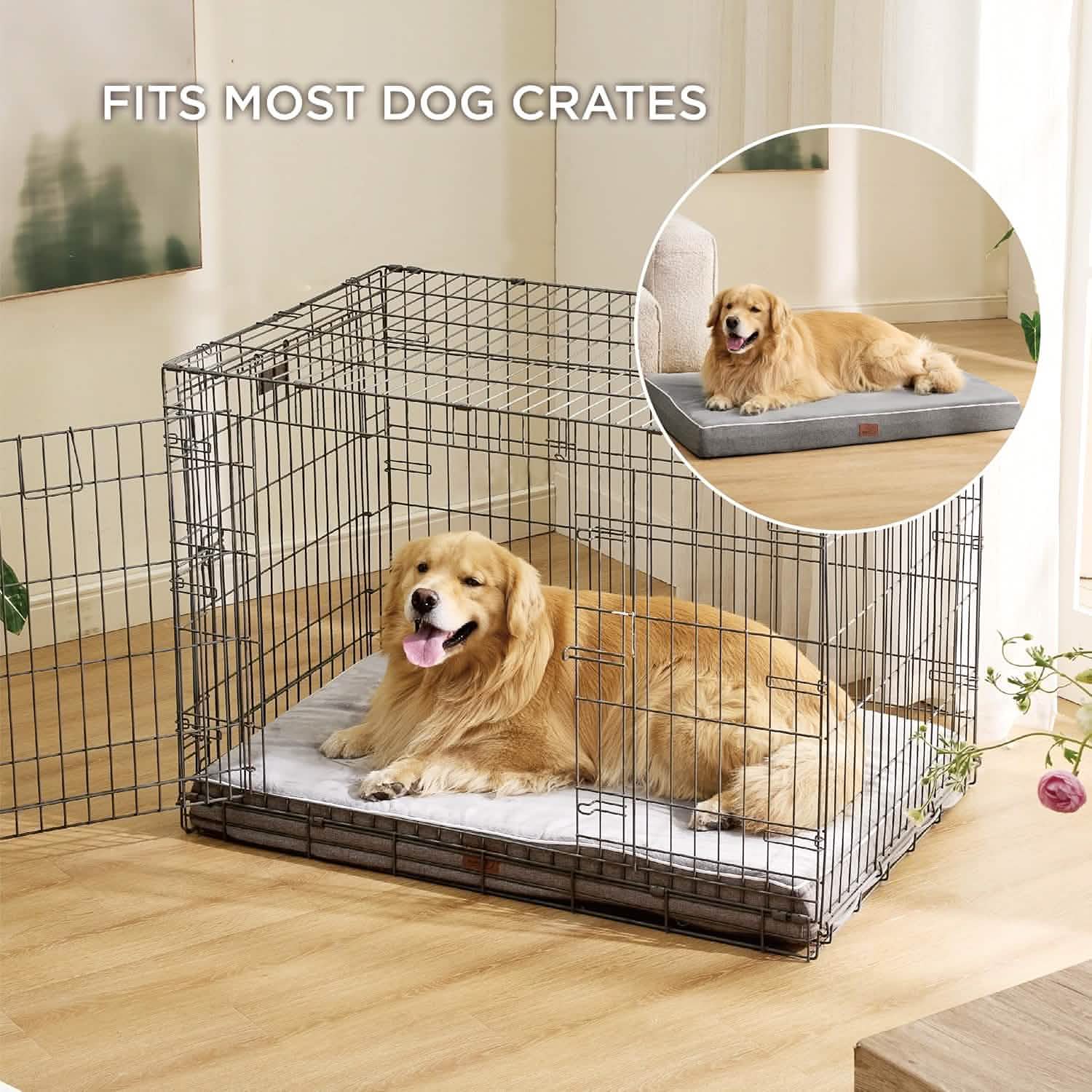 Orthopedic Memory Foam Dog Bed – Image 2