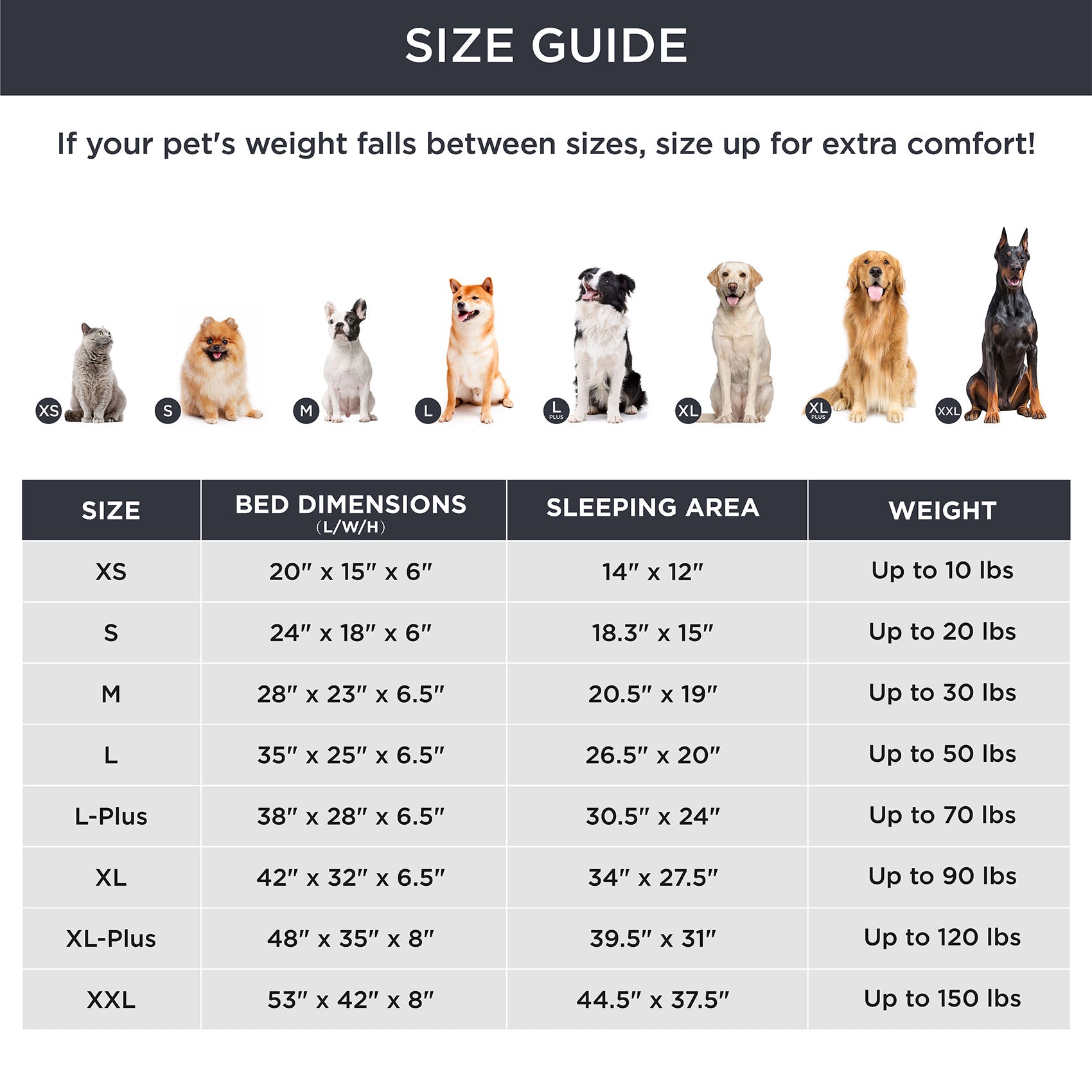 Orthopedic Pet Sofa – Image 5